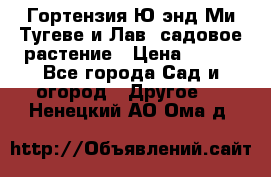 Гортензия Ю энд Ми Тугеве и Лав, садовое растение › Цена ­ 550 - Все города Сад и огород » Другое   . Ненецкий АО,Ома д.